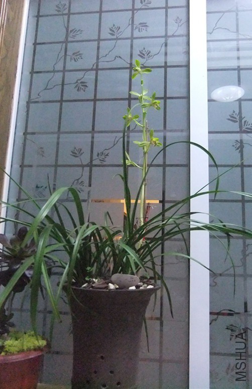 DSCF5388_����.jpg