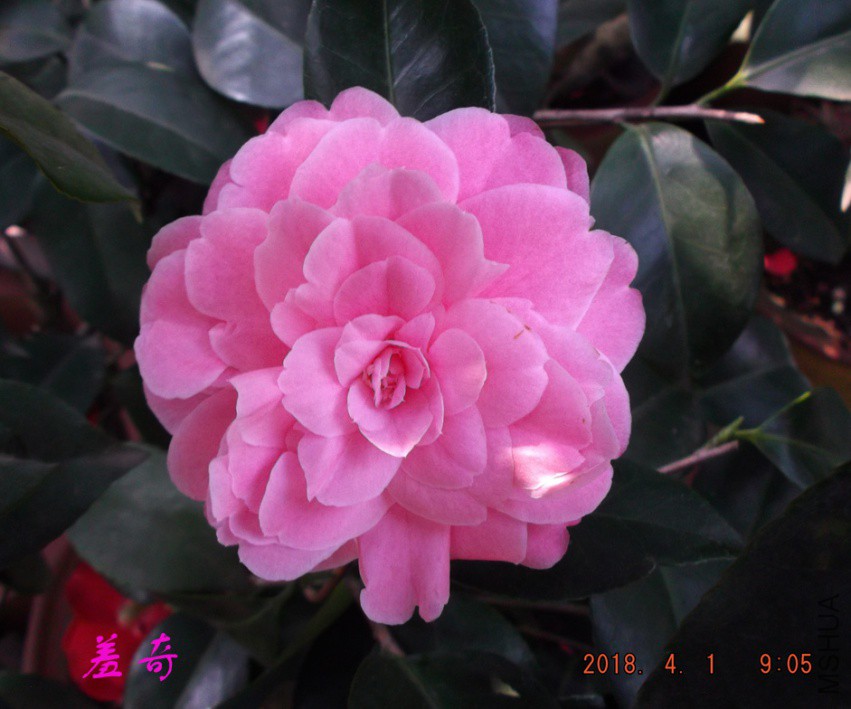 2018-4-1jxsw 046����.jpg