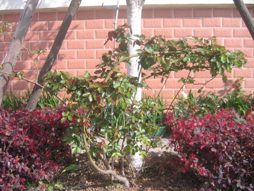 ���м�ƫ����һ������