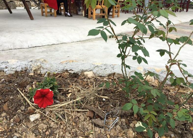 QQ��ͼ20180401180509 f.jpg