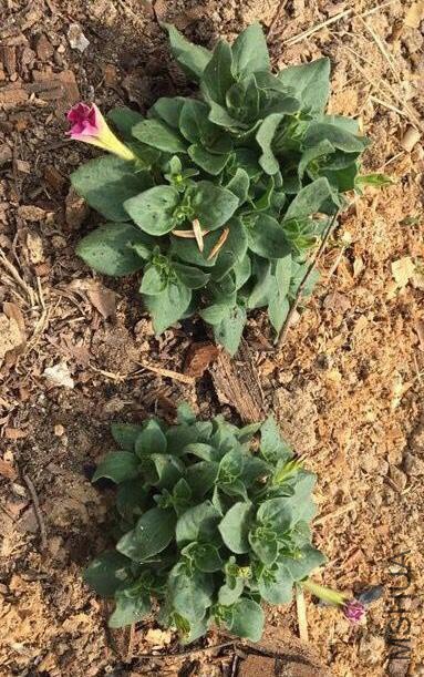 QQ��ͼ20180401180528 f.jpg