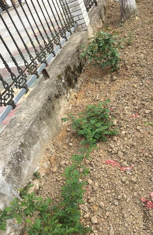 QQ��ͼ20180401180633 f.jpg