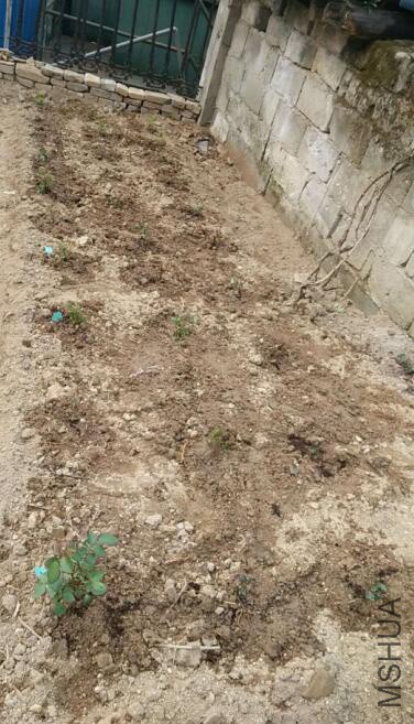 QQ��ͼ20180401180921 f.jpg