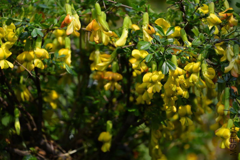 DSC_03270058.JPG