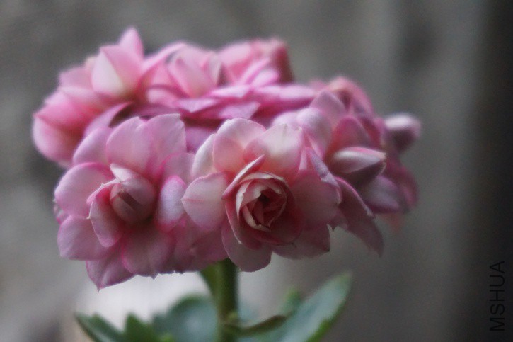 DSC00790_�༭.jpg