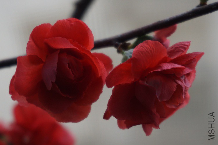 DSC00779_�༭.jpg