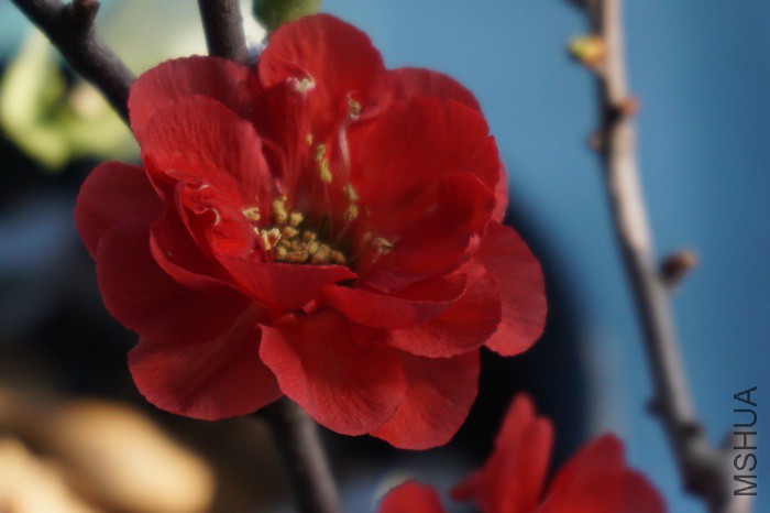 DSC00780_�༭.jpg