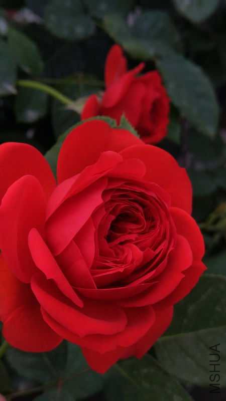 3548249