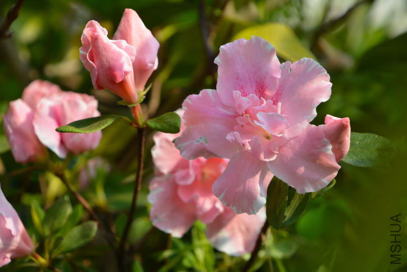 DSC_04230154.JPG