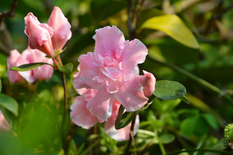 DSC_04120143.JPG