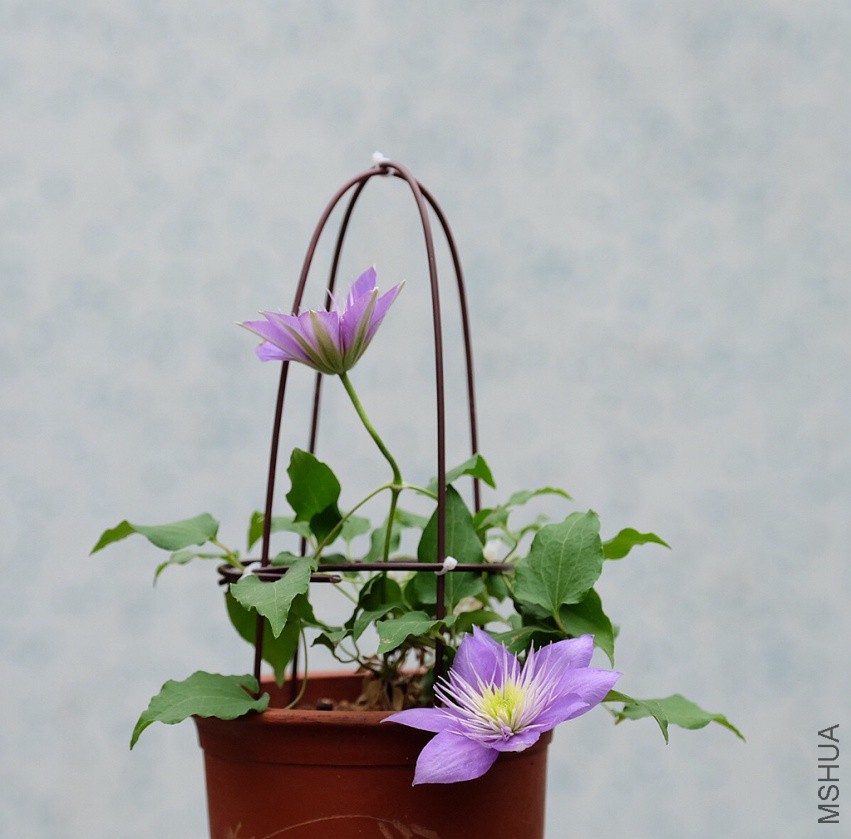 ΢��ͼƬ_20180403082640.jpg