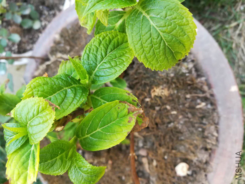 ΢��ͼƬ_20180402150217.jpg