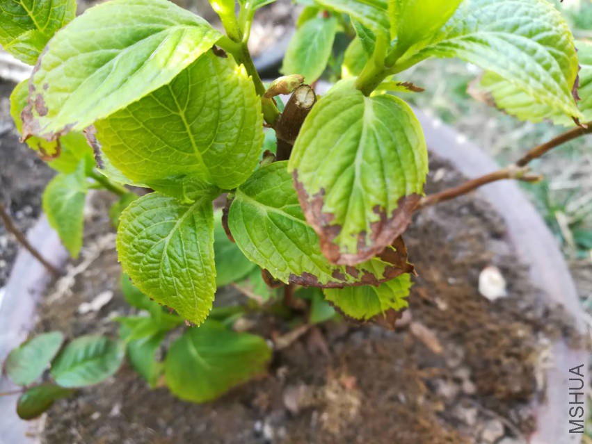 ΢��ͼƬ_20180402150223.jpg