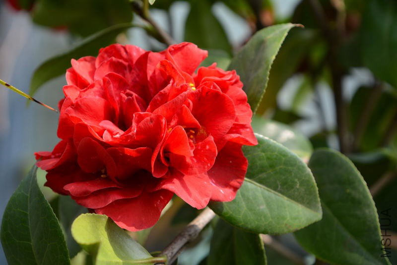DSC_05660102.JPG