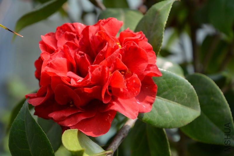DSC_05680104.JPG