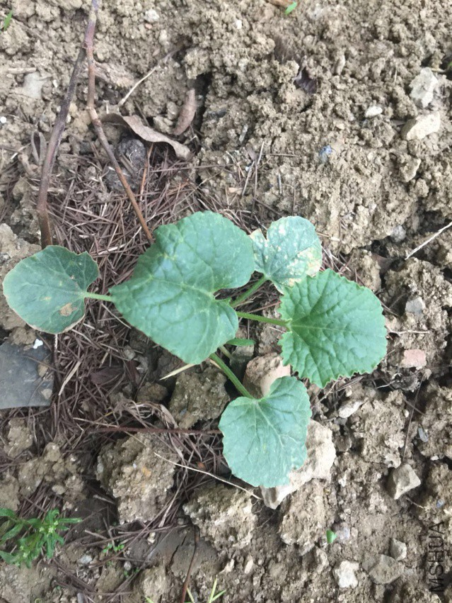 ΢��ͼƬ_20180404104535.jpg