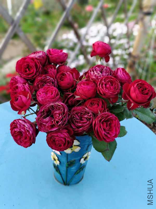 IMG_20180403_182034_Bokeh.jpg