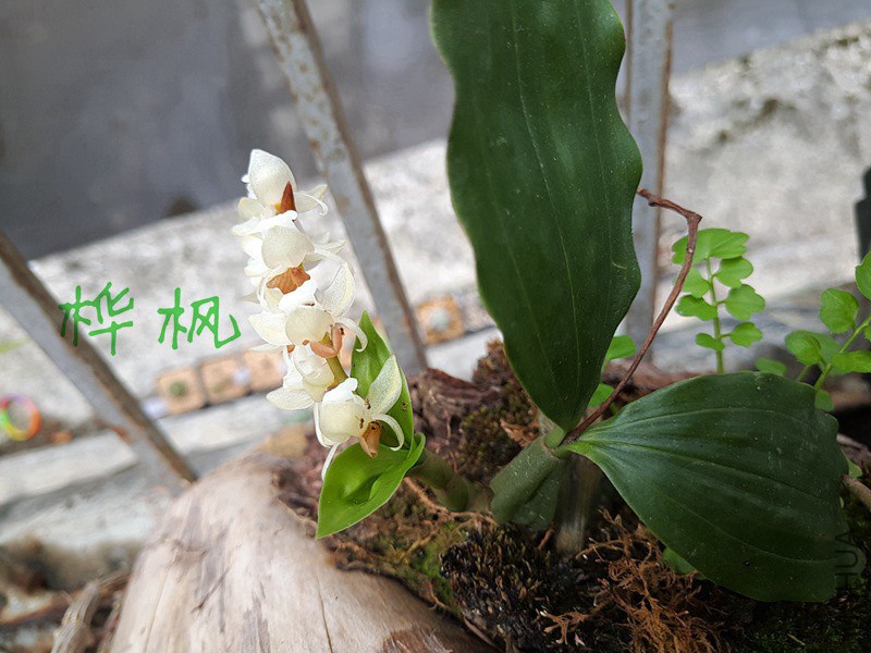 P80318-151533.jpg