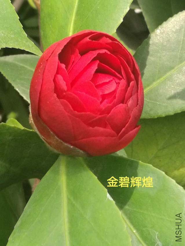 ��̻Ի�1.jpg