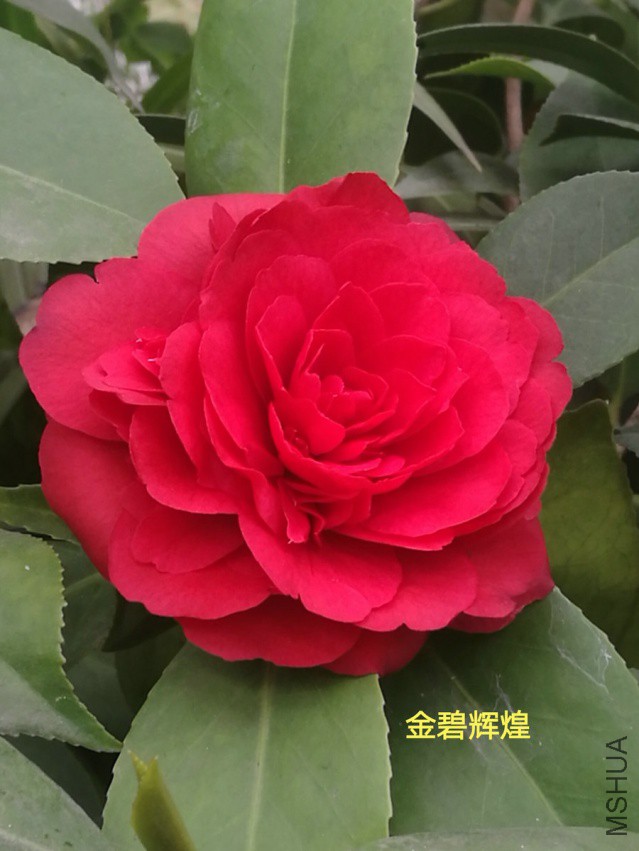 ��̻Ի�3.jpg