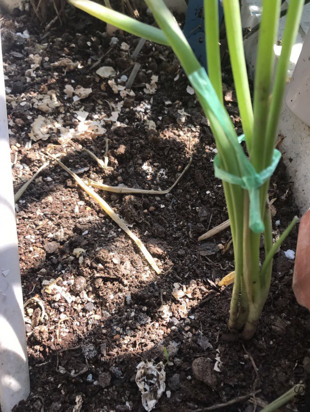 ΢��ͼƬ_201803171558441.jpg