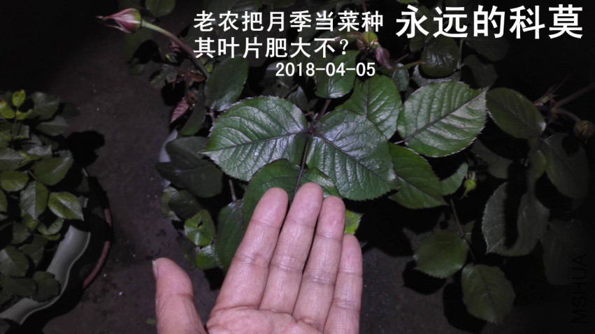 ��Զ�Ŀ�Ī_201804052237271.jpg