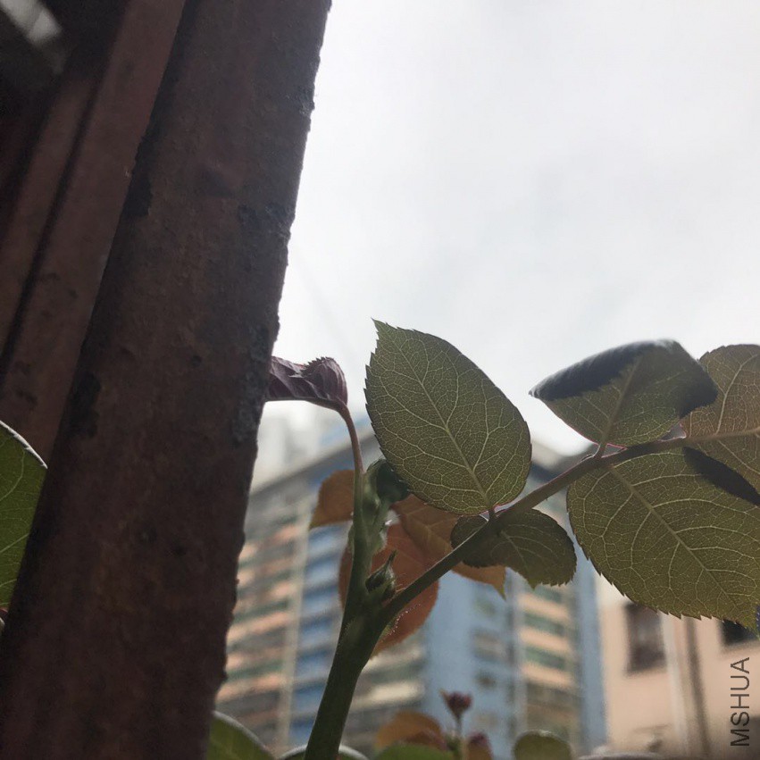 ΢��ͼƬ_201804052150444.jpg