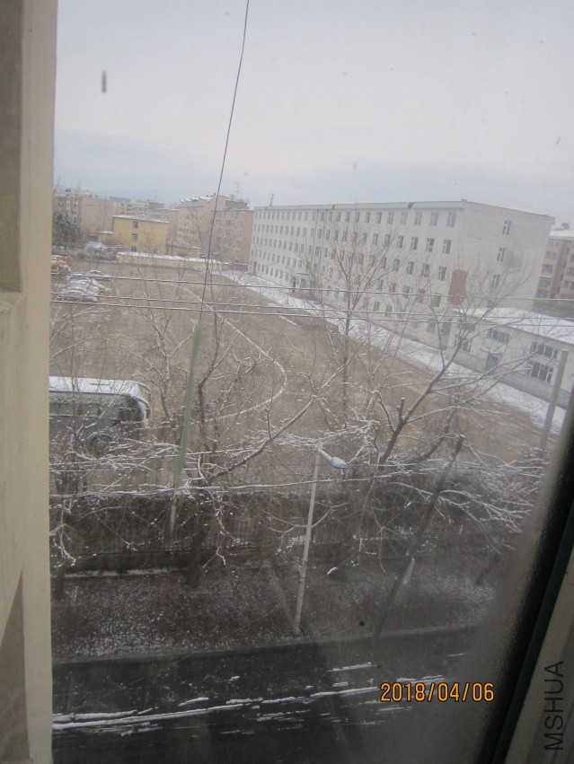 IMG_0011.JPG