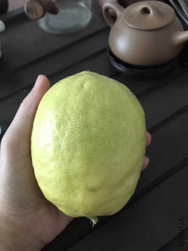 F2085A59-14F8-4D16-A528-65A189559A5E.jpeg