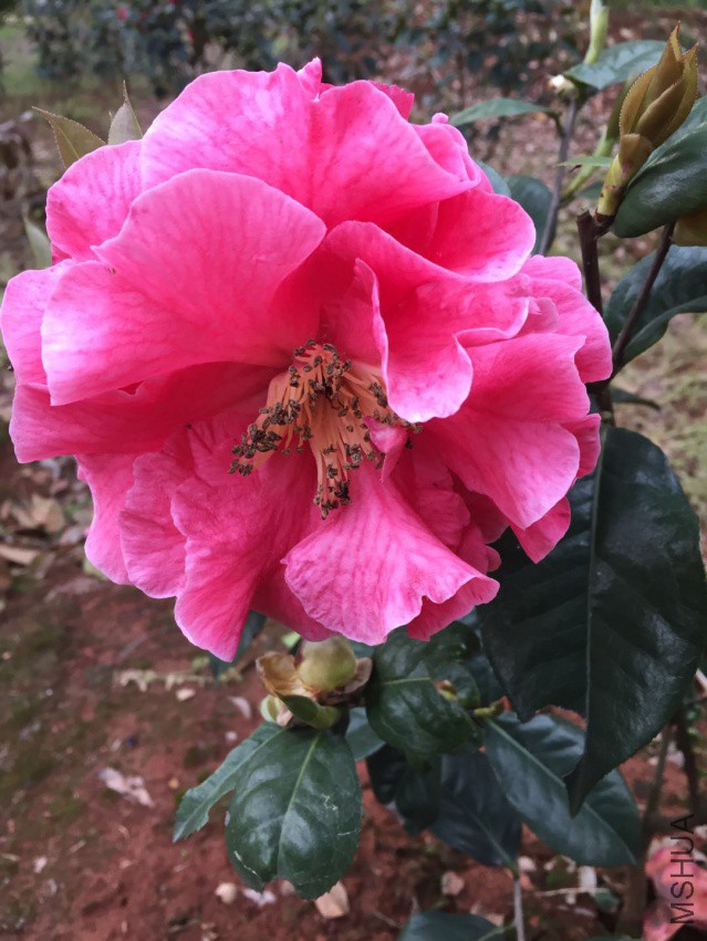 ΢��ͼƬ_20180406190542.jpg