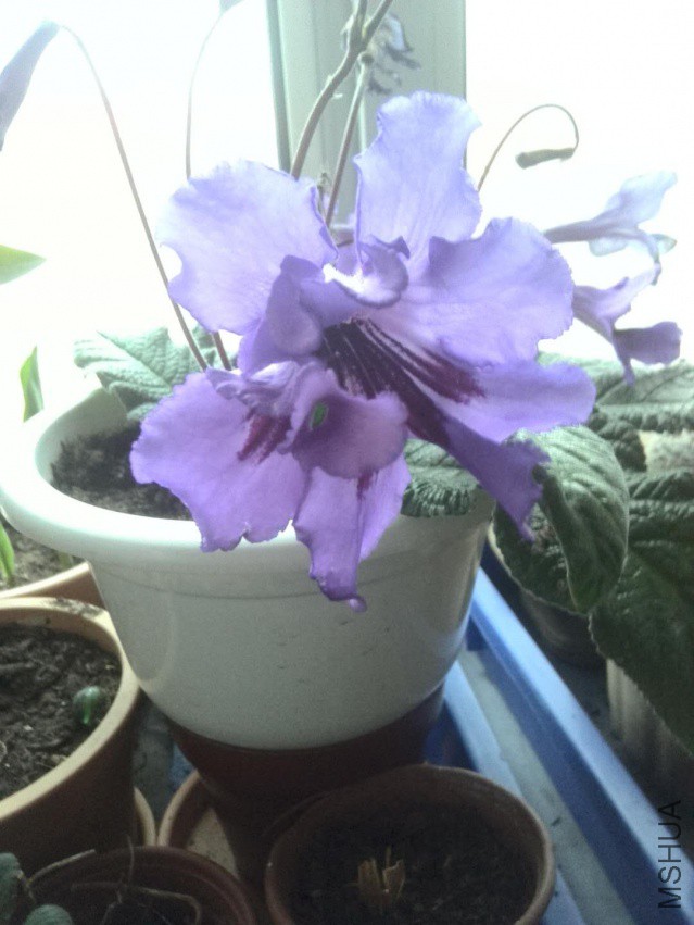 ΢��ͼƬ_20180407074846.jpg