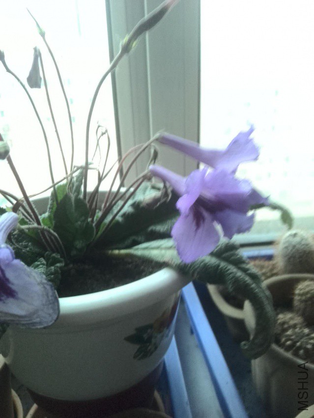 ΢��ͼƬ_20180407074851.jpg