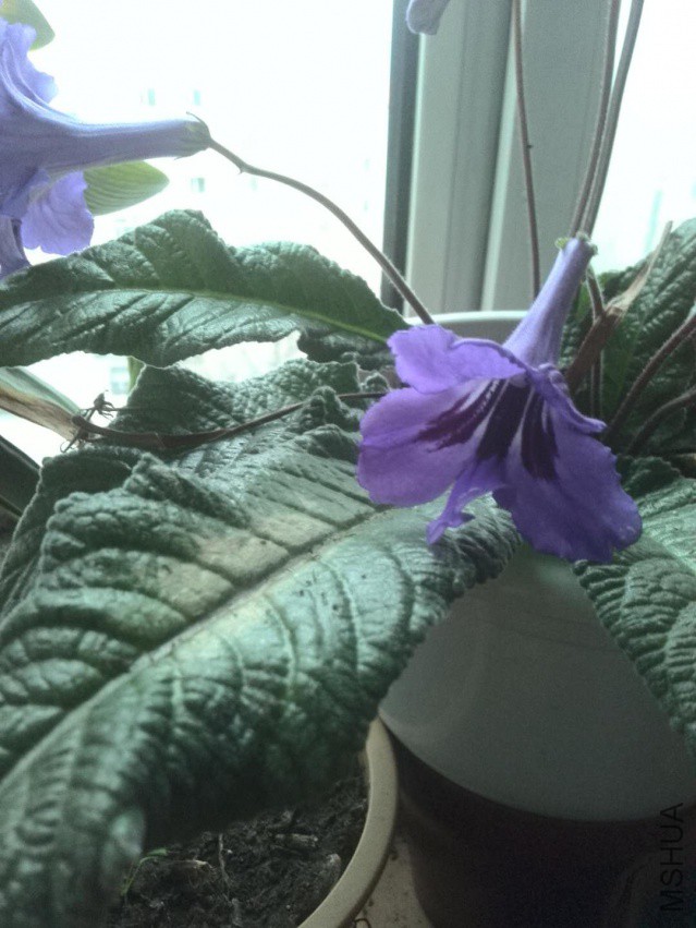 ΢��ͼƬ_20180407074856.jpg