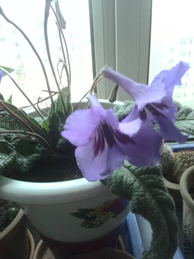 ΢��ͼƬ_20180407074901.jpg
