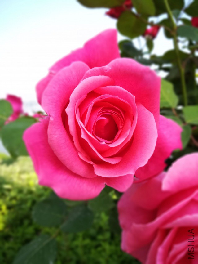 ΢��ͼƬ_20170600.jpg