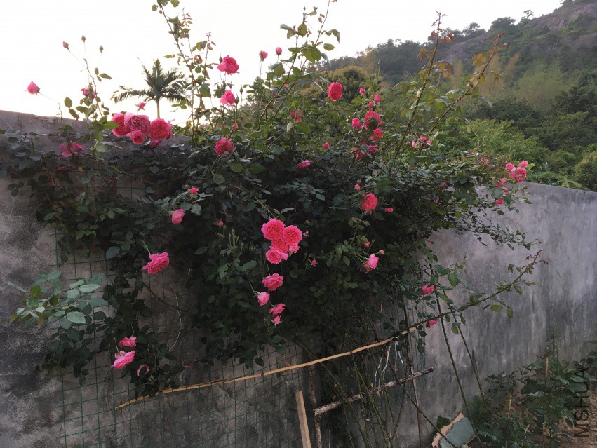 ΢��ͼƬ_20180409091609.jpg