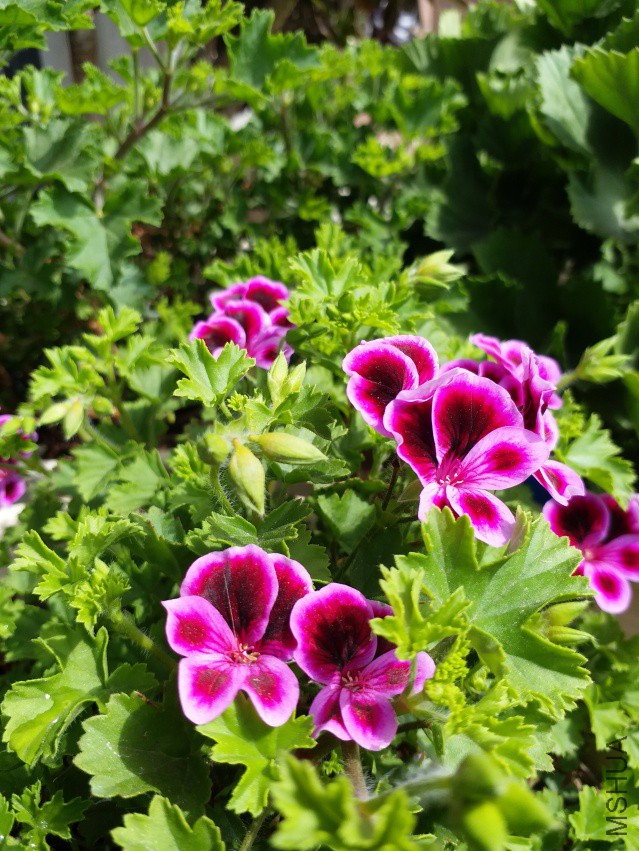 20180406_101959.jpg