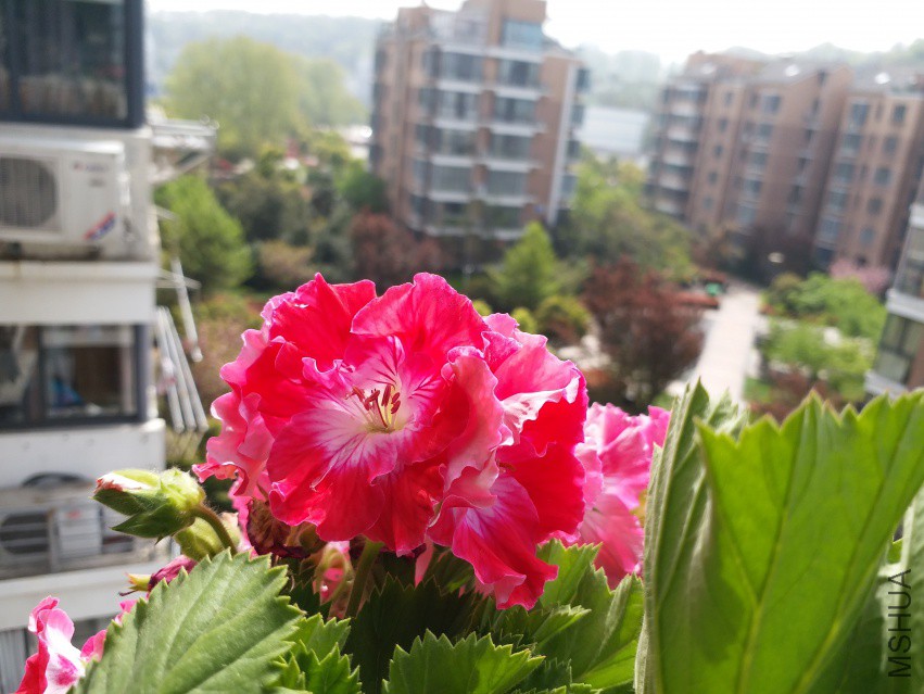 20180406_100642.jpg