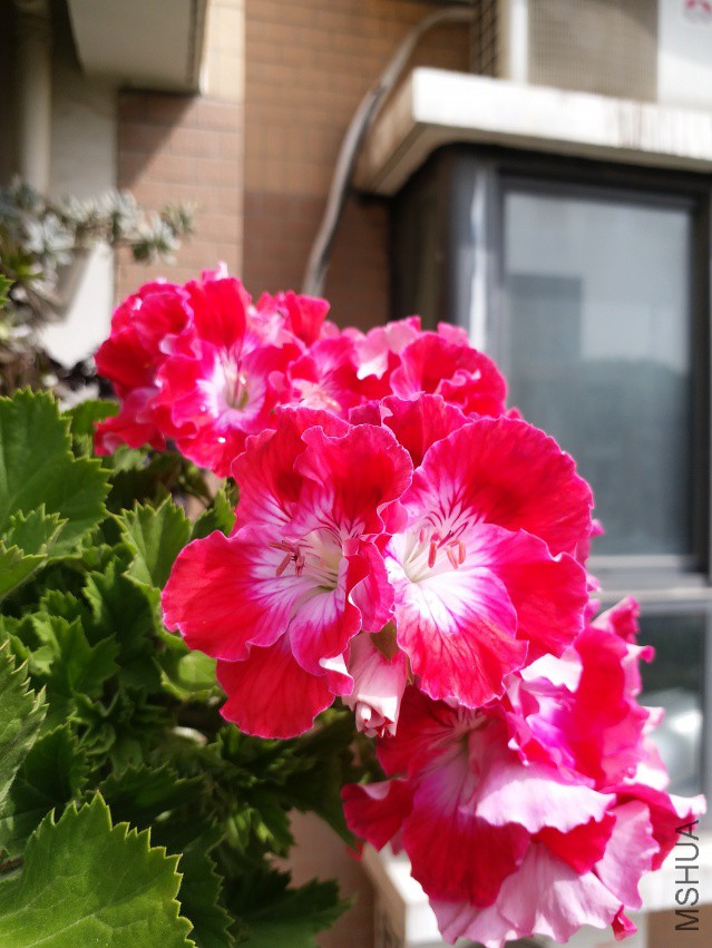 20180406_101606.jpg