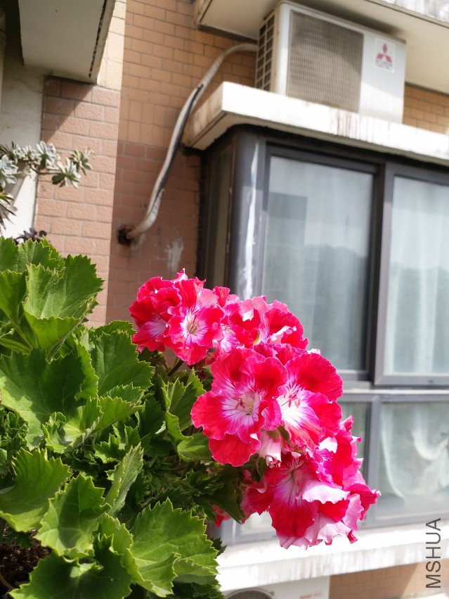 20180406_101735.jpg