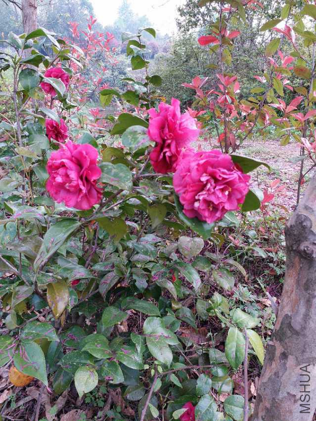20180331_100902.jpg