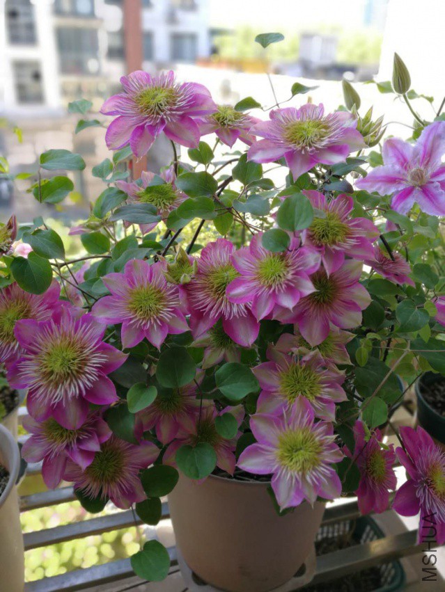 �ʵ� 2018.4.10.jpg