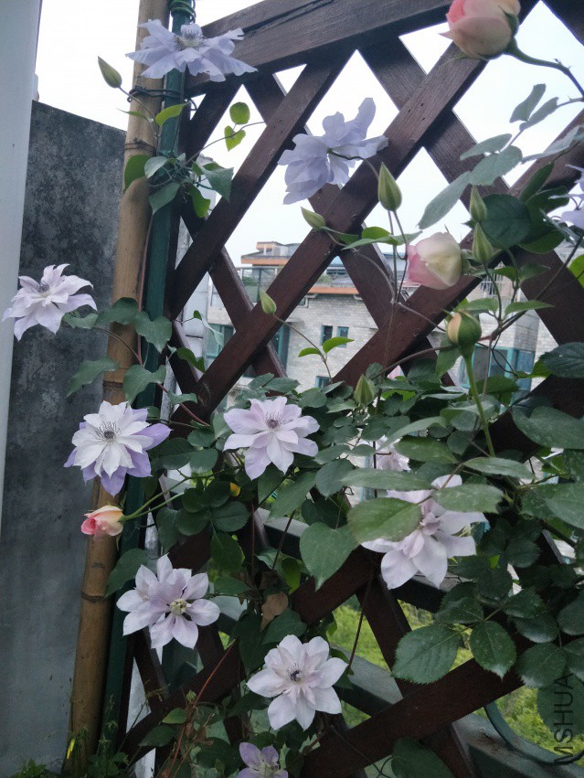 IMG20180409191934.jpg