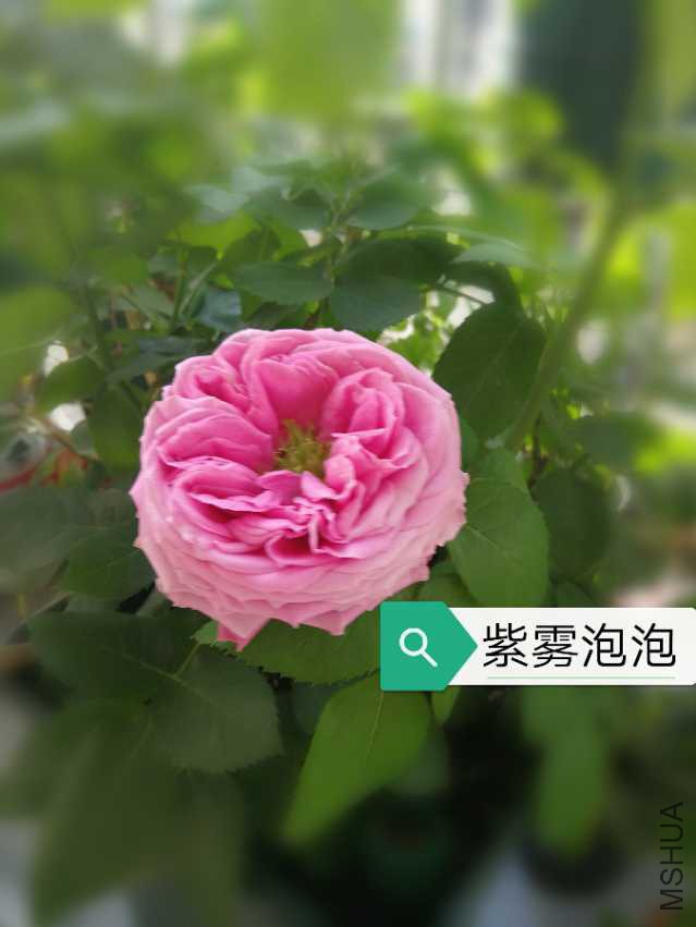 IMG_20180410_154801.jpg