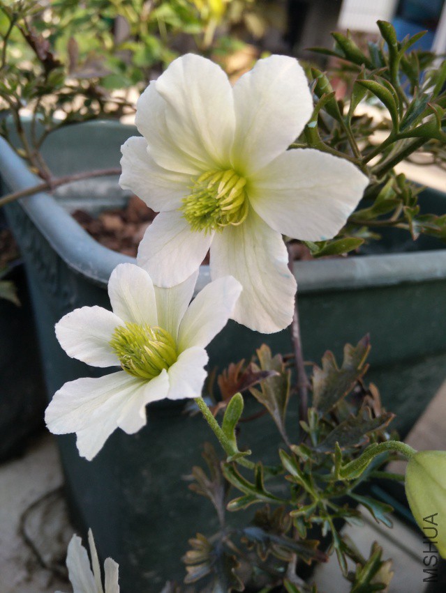 ΢��ͼƬ_20180410155715.jpg