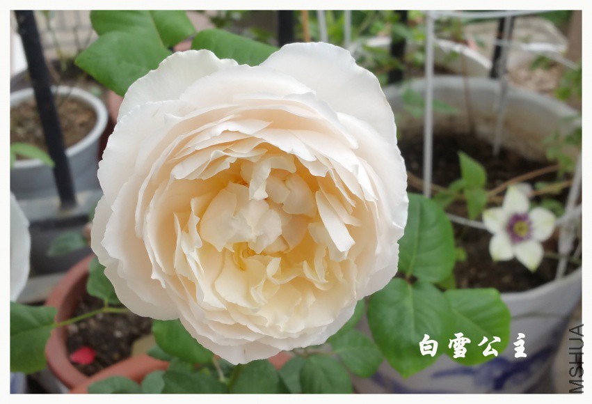 20180411_094541.jpg