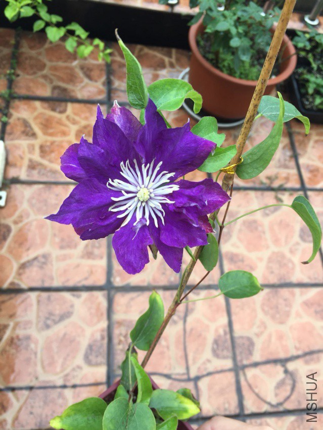 ���񣬺����������������ذ꣬�����Ȼ���У�������3������~