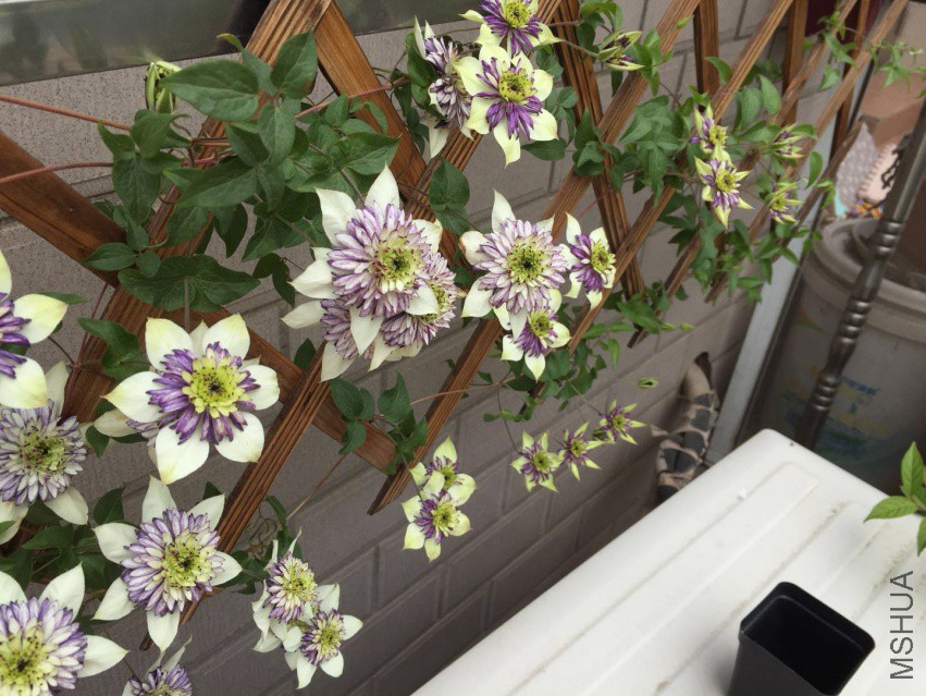 �»ã���ǽ����~����һֱ�ܲ���~