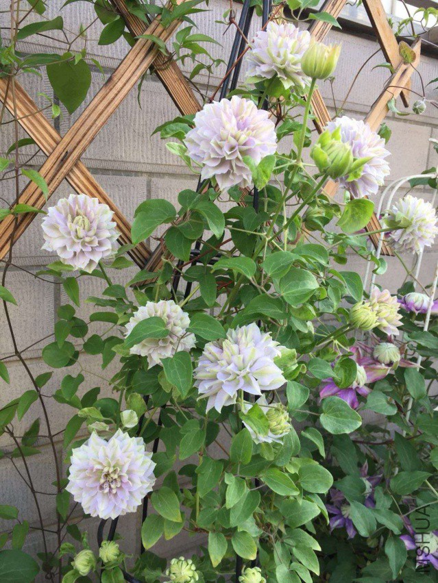 ��������������~����к�ǿ~