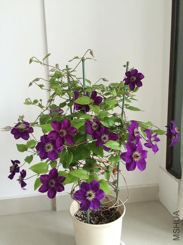 ���տ��� 2015.05.09.JPG